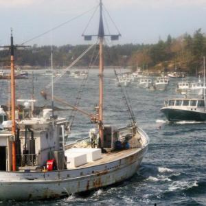 Sunday’s memorial boat parade in honor of Donald Brewer Sr brought 60 fishing vessels to Southport waters. LISA KRISTOFF/Boothbay Register