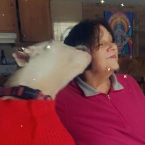 Sandra L. Brown