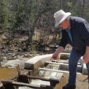 Join in the fun and volunteer to count fish at the Nequasset fish ladder in 2021! Sign up at: www.kennebecestuary.org/fish-counting/ Courtesy of Kathy Gravino