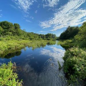 A large wetland lies along the northwestern edge of Coastal Rivers’ newest property, which connects to conserved land adjacent to La Verna Preserve in Bristol. Courtesy of Coastal Rivers