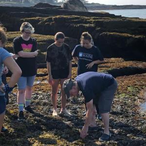 Prof. Bob Steneck of Whitefield introduces students to the ecology of a rocky shore that he has studied for more than 30 years, near Pemaquid Point in Bristol. Courtesy of DMC