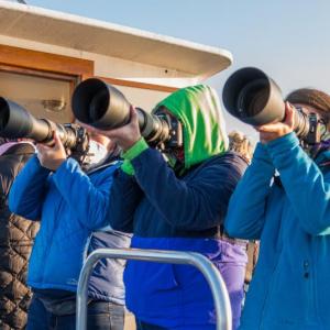 Photographers on a past Sunrise Lighthouse Photography cruise. Mike Leonard photo