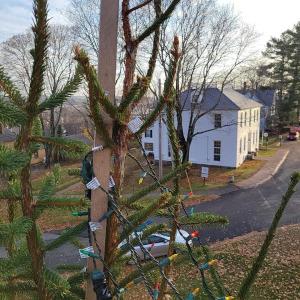 From the top down, Wiscasset’s tree it lights every year in a holiday celebration has had its lights restrung ahead of this year’s lighting, Dec. 4. In the distance below is Wiscasset Public Library. Courtesy photo