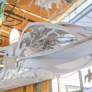 A new, two-story art installation that celebrates ocean life and scientific efforts hangs from the ceiling at Bigelow Laboratory for Ocean Sciences. The exhibit is the culmination of a three-year project focused on the Gulf of Maine. Courtesy of Bigelow Laboratory