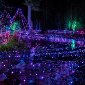 A scene from a past Gardens Aglow. Mike Leonard photo