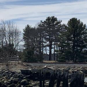 White’s Island, Wiscasset from a distance March 30. SUSAN JOHNS/Wiscasset Newspaper
