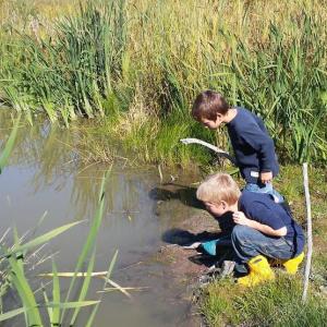 The fresh water marsh at Coastal Rivers Salt Bay Farm is a wonderful place to look for frogs, insects, small fish, and swimming birds. Courtesy of Coastal Rivers