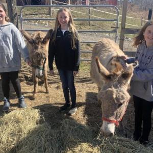 The kids at Burke’s Island Farm are taking great care of donkeys who arrived in March for rehabilitation and a second chance at a productive life. Pictured, from left, are Olivia Roberts, Brianna Campbell and Annie Whitney. BILL PEARSON/Boothbay Register