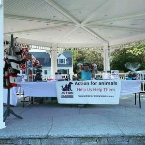 The Action for Animals Maine display at the Boothbay Common during the Farmers Market. Courtesy photo