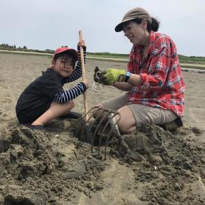 Learn to dig clams with KELT on Wednesday, July 6 at Reid State Park in Georgetown. Fun for all ages! Courtesy of KELT