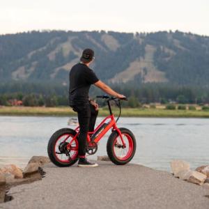 ebike, electricbike, electric_bike, electric_vehicles, pedego, pedego boothbay harbor, maine, boothbay harbor