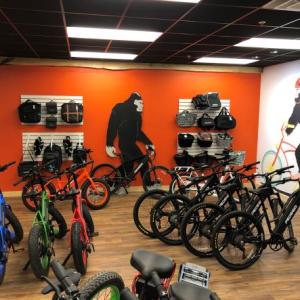 ebike, electricbike, electric_bike, electric_vehicles, pedego, pedego boothbay harbor, maine, boothbay harbor