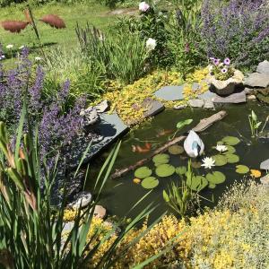 Candace “Canny” Cahn designed this small pond for her yard. Emily Adler photo