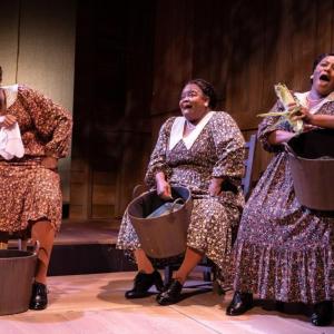 The Color Purple