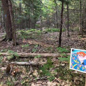 This July and August, KELT is excited to offer storybook trails across the region! Courtesy of KELT