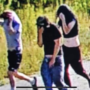 Wiscasset police posted this photo of five individuals who may be involved with a Mason Station theft, burglary and vandalism case. Police Chief Larry Hesseltine believes the crime occurred between Sunday afternoon and Tuesday night. The Central Maine Power security camera took the photos on July 24. Courtesy photo