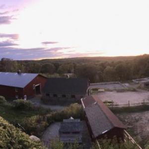 Burke’s island Farm, home to Charlie and Friends Second Stride Rescue in Boothbay. Courtesy of Burke’s Island Farm