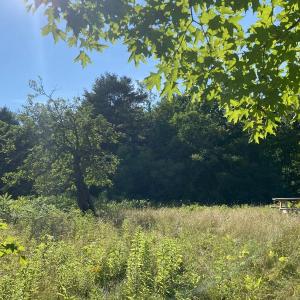 A scene at the Schmid Land Preserve in Edgecomb. Courtesy photo