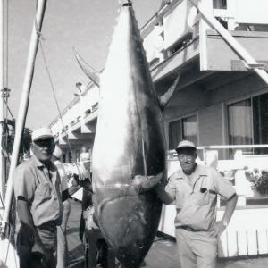 Catching a big tuna could mean catching a big prize. Pictured are past participants Ben Lewis and Howard Brewer at Brown Bros. File photo