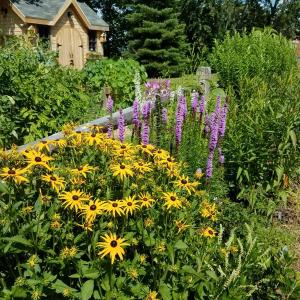Wales Garden Park in Belfast. Courtesy of Waldo Soil & Water Conservation District
