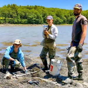 Student researchers, including Audrey Hufnagel of Damariscotta (middle) and Jakob O’Neal of Bath (right), studied shellfish ecology at the University of Maine Darling Marine Center. The experience culminated in a presentation at the SEA Fellows Symposium last month. Photo by Sarah Risley