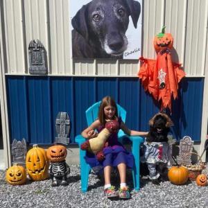 Rescue Charlie’s Friends is readying for Howl-O-Ween on Oct. 22 and 23. Courtesy photo