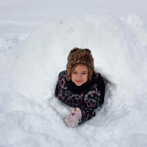 Coastal Rivers’ family program on Jan. 12 will focus on shelter building and outdoor skills for cold weather. Courtesy of Coastal Rivers