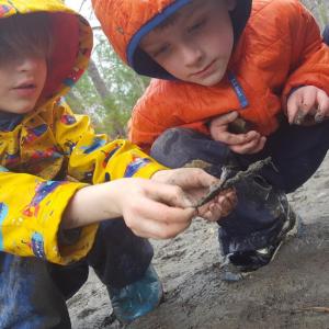 Coastal Rivers Salt Bay Farm offers many opportunities for nature exploration and outdoor adventures. Courtesy of Coastal Rivers