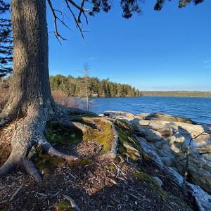 Naturalist Sarah Gladu will lead two guided hikes at Plummer Point Preserve in South Bristol on Feb. 11. Courtesy of Coastal Rivers