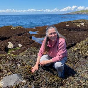 Heather Leslie, professor of marine science and director of the Darling Marine Center at the University of Maine. Photo by Jeremy Rich