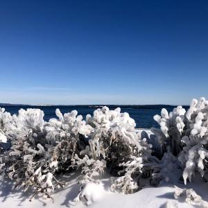Penobscot Bay on a cold January morning (Photo by Lynda Clancy)