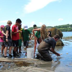 Camp Mummichog campers collect specimens at the University of Maine Darling Marine Center with a marine biologist. Courtesy photo