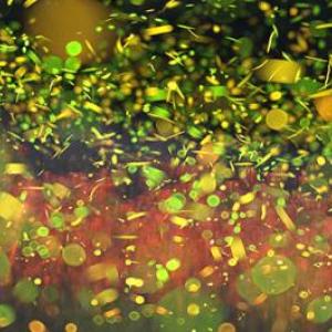 Fireflies. Courtesy of Mass Audubon’s Firefly Watch