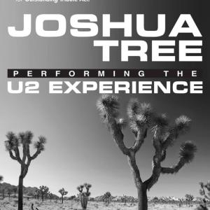 Joshua Tree poster