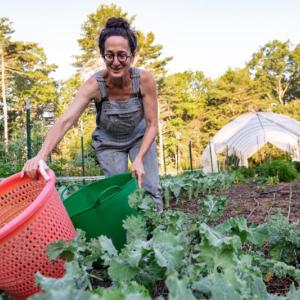Erica Berman, founder of Veggies to Table, at work in one of the gardens at the Newcastle farm. Kelsey Kobik photo