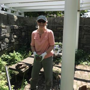 Janice O’Connell, helping tend Wiscasset’s Sunken Garden. Emily Adler photo