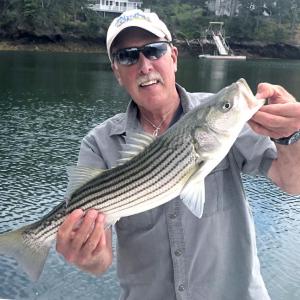 Capt. Barry Gibson holds a striped bass. Courtesy of Barry Gibson