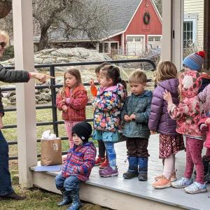Sheepscot Valley Children’s House preschool class from Wiscasset sings and signs a friendship song to the their adopted” alpaca Theodora on April 11 in Southport. CANDI JONETH/Boothbay Register