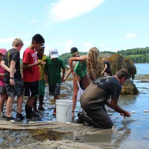 Campers visit Dr. Joe Thompson at University of Maine Darling Marine Center to collect specimens during the “Marine Adventures” session at Camp Mummichog.