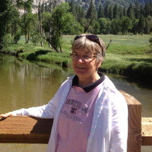 Judith A. Stevens