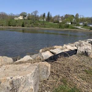 View from Wiscasset’s Pleasant Street Extension May 8. In the background, Castle Tucker. SUSAN JOHNS/Wiscasset Newspaper