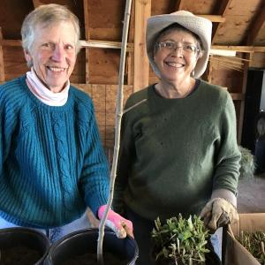 Sally Howe, left, and Sherry Lyons pot for the sale. Emily Adler photo