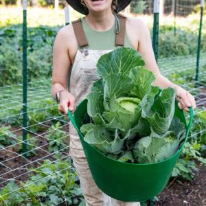 Kayla Paton at Veggies to Table farm. Kelsey Kobik photo