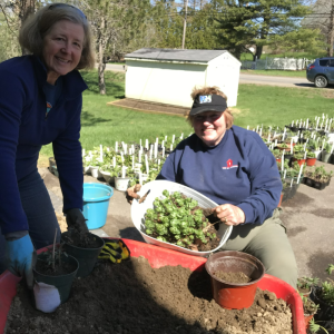 Debbie Lorenson and Jan Flowers on April 28- helping with potting (wheel barrel). Emily Adler photo