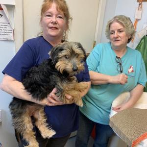 Manager Tammy Walsh holds Bailey, a terrier mix who arrived last month at the Midcoast Humane shelter in Edgecomb. Walsh and a team of full- and part-time workers care for stray animals in search of permanent homes. Also pictured, technician Melinda Reed. BILL PEARSON/Boothbay Register