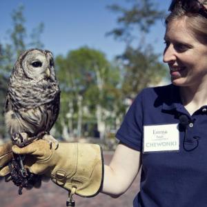 One of the Chewonki presenters holds an owl during a past program at Coastal Maine Botanical Gardens in Boothbay. Courtesy of Chewonki