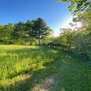 The trail run route includes part of the accessible Rhoda and Leon Cohen River Trail, as well as mown trails that circle the hayfields at Coastal Rivers’ Round Top and Pete Noyes Preserves and Whaleback Shell Midden State Historic Site. Courtesy of Coastal Rivers