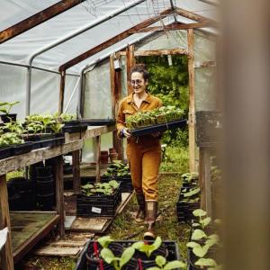 Erica Berman at work in the Veggies to Table greenhouse. Courtesy photo