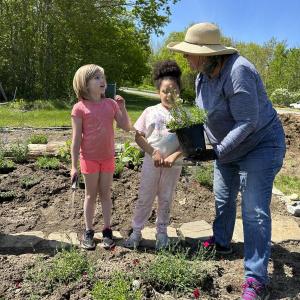 Karen Iliades helps Edgecomb Eddy School students plant the pollinator garden. Courtesy of BRGC