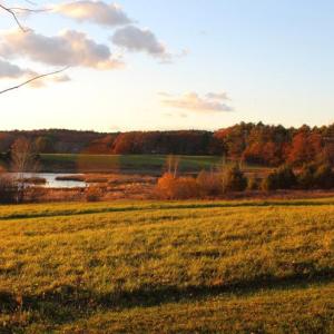 Naturalist Sarah Gladu will lead a guided hike at Salt Bay Farm in Damariscotta on Nov. 17. Courtesy of Coastal Rivers
